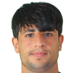 莫哈納德·阿里